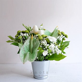Verdant Grace (White Tulips Sympathy Arrangement)