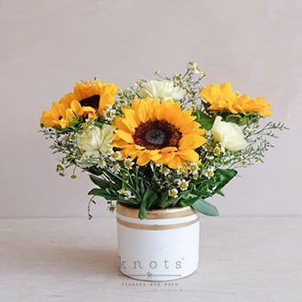 Sunnyside (Sunflower in Pot Arrangement)