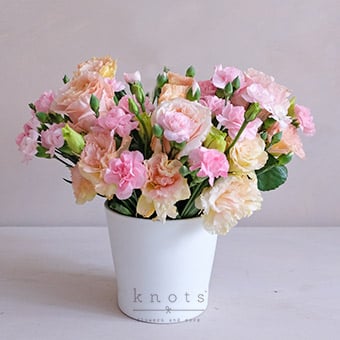 Affectionate Heart (Shimmer Ecuadorian Roses & Carnations Arrangement)