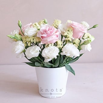Debutante’s Caller (Pink Ecuadorian Roses Arrangement)