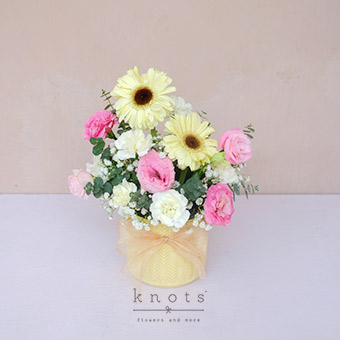 Beloved Confidante (White Gerbera Arrangement)