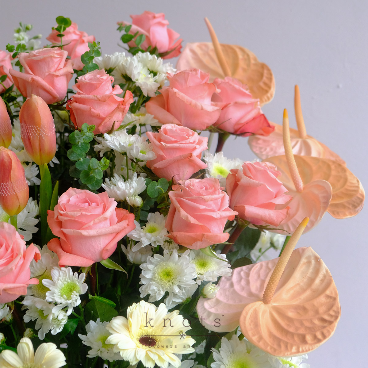 AR2449B_1200