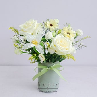 White Ecuadorian Roses and Tulips