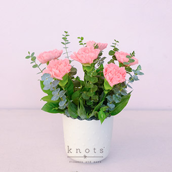 Tender Love & Care (Pink Carnations Arrangement)