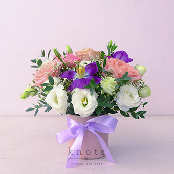 Lavender Haze (Pink Ecuadorian Rose, Purple Tulips, and Pink Gerbera Arrangement) 