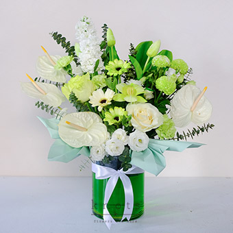 Evergreen Serenity (Ecuadorian Roses and Gerbera Arrangement)