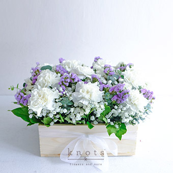 Gentle Comfort (White Carnation and Purple Statice Arrangement)
