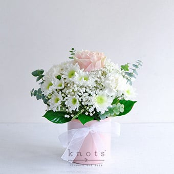 Serene Embrace (Pink Ecuadorian Rose Arrangement)