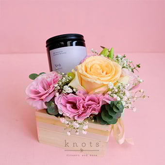 Light in Your Eyes (Peach Rose w/ Candle)