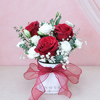 Truly Special  (3 Red Roses Box Arrangement)