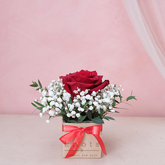 The One (1 Red Rose Box Arrangement)