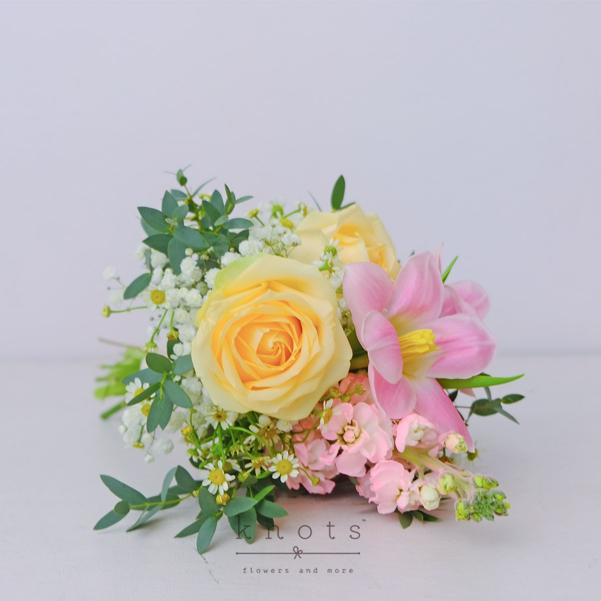 WB2503A_1200