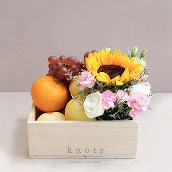Healing Radiance (Fruits & Flowers Hamper)