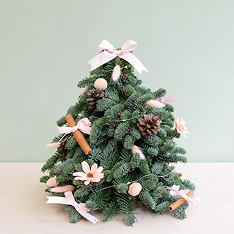 Holly (Fresh Nobilis Tree)