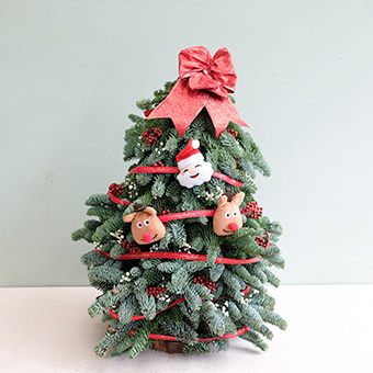 Waiting For Santa (Fresh Nobilis Tree)
