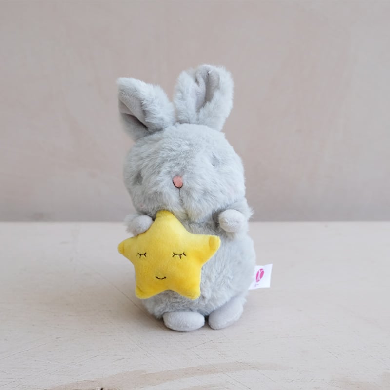 Fluffy Rabbit with Star