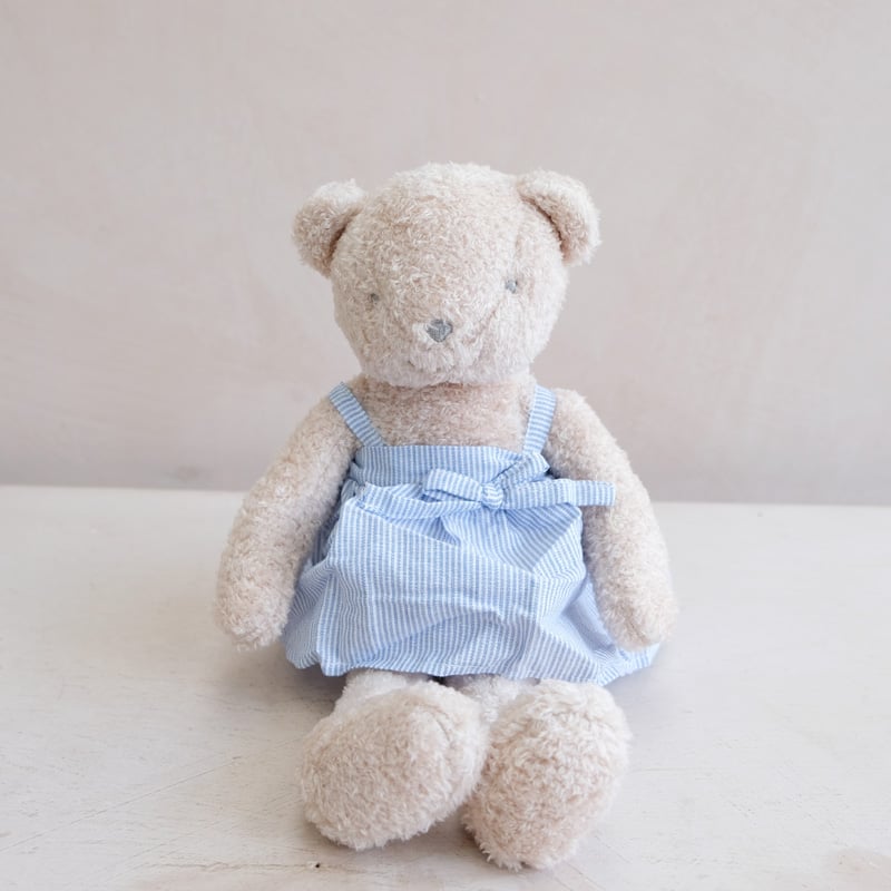 Cuddly Bear in Blue Dress