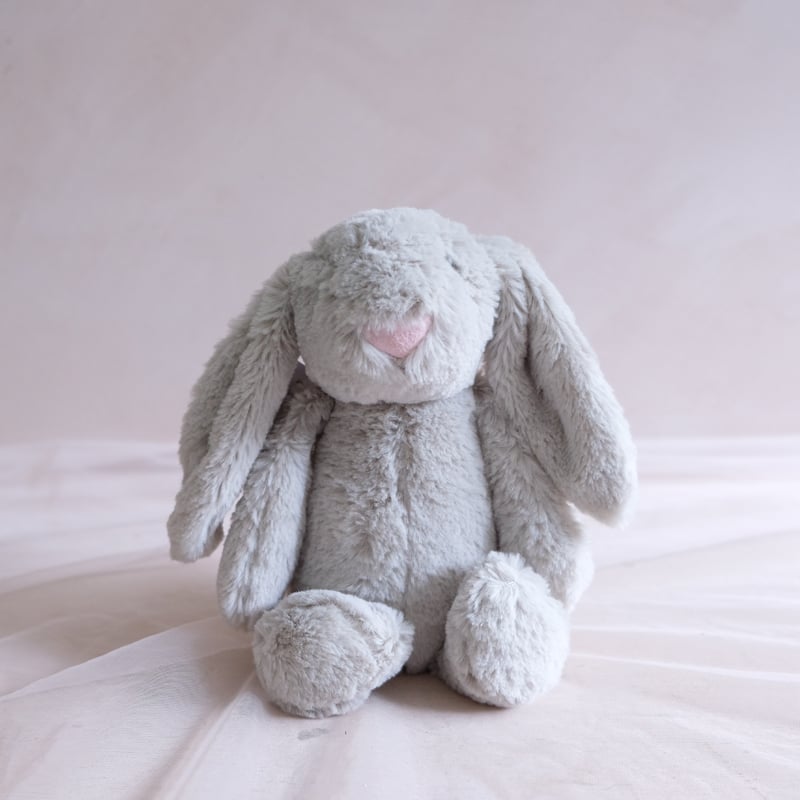 Bunny Rabbit