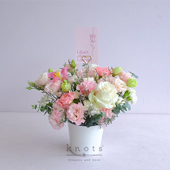 Life Mantra (Rose, Tulips, and Carnation Affirmation Arrangement)