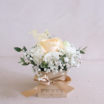 Grace (Peach Rose Boxed Arrangement)