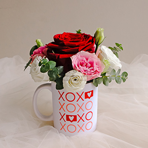 XoXo