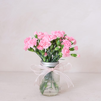 Young Hearts (Pink Carnations)