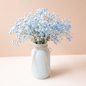 Gentle Allure