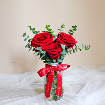 Melt my Heart (Red Ecuadorian Roses)