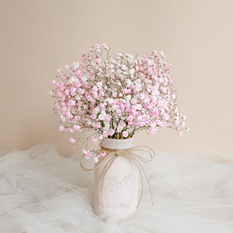 Gentle Pink