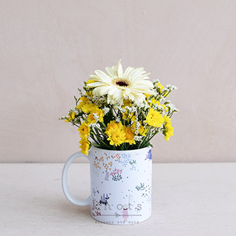 Handful of Delights (White Gerbera Cup Arrangement)