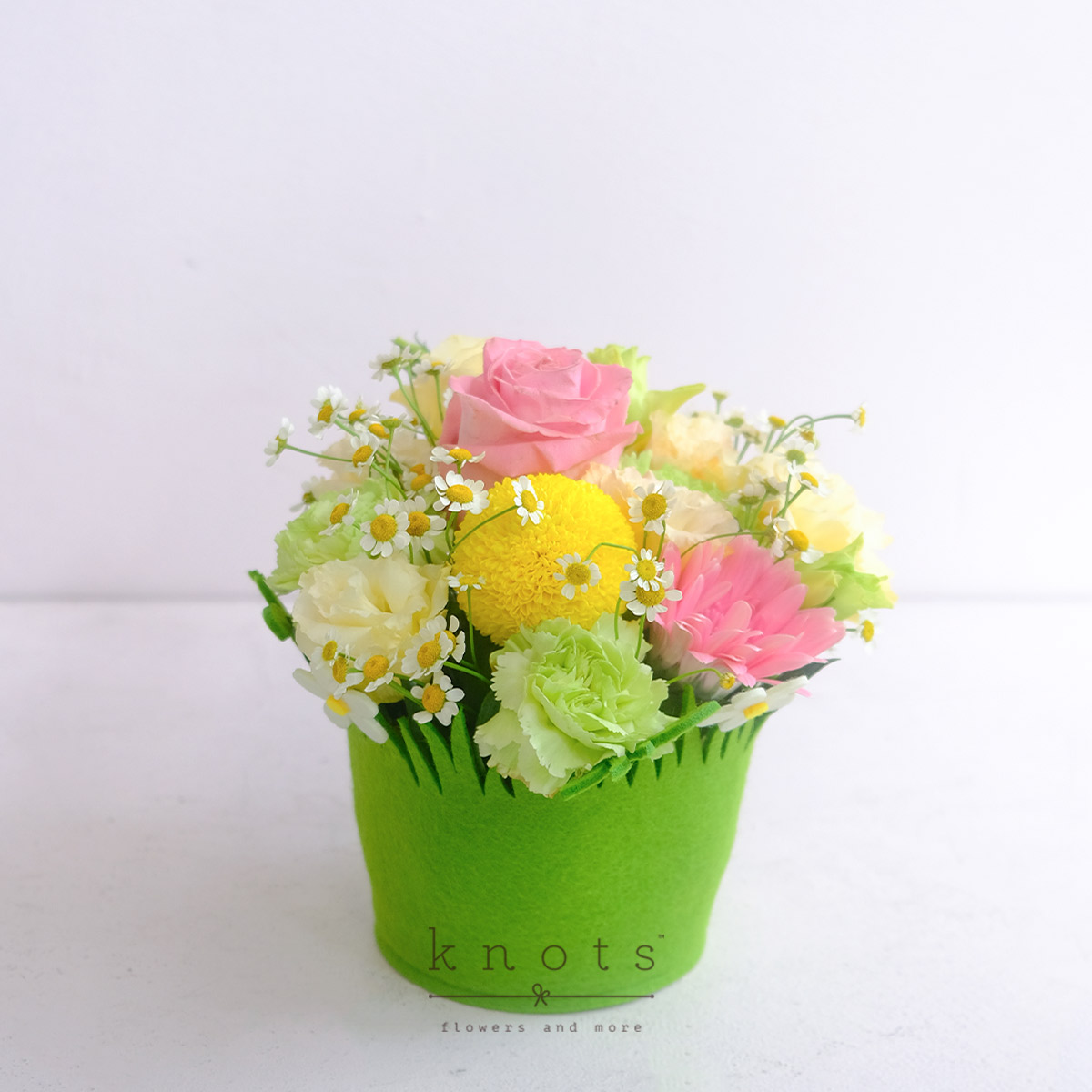 Once Upon a Spring (Pink Ecuadorian Rose and Pink Gerbera Arrangement)