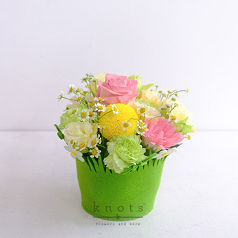 Once Upon a Spring (Pink Ecuadorian Rose and Pink Gerbera Arrangement)