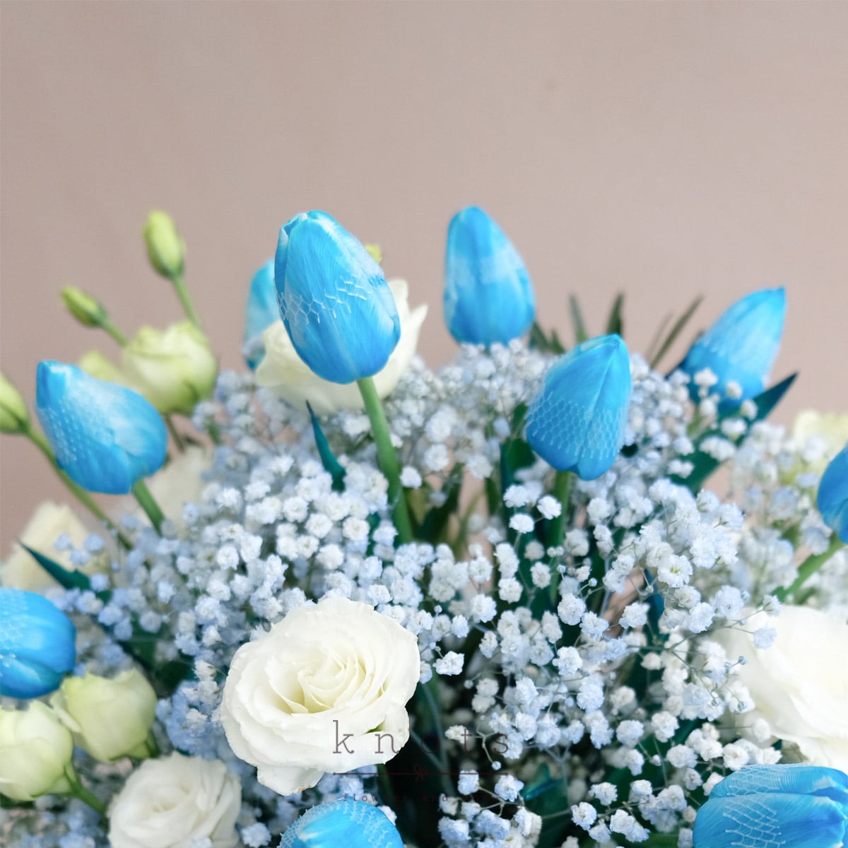 BQA24159A_1200