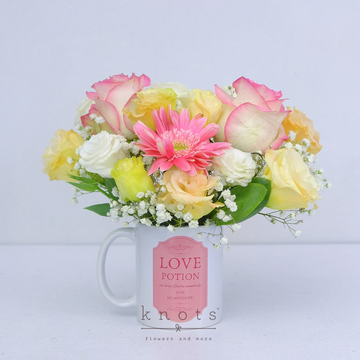 Love Potion (Two Tone Pink Roses & Gerbera Mug Arrangement)