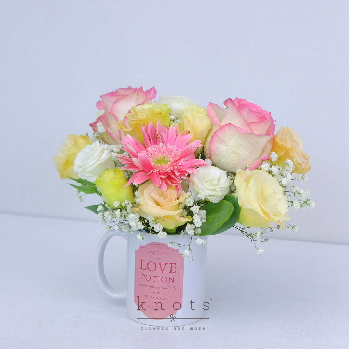 CB2511-Love-Potion-Two-Tone-Pink-Roses-&-Gerbera-Mug-ArrangementA_1200