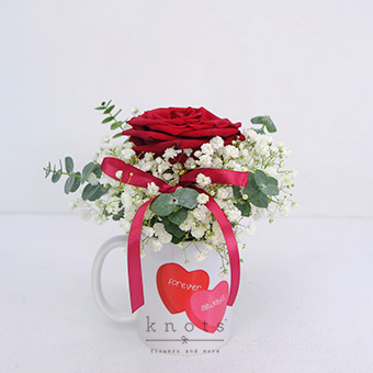 Forever Always (Red Ecuadorian Rose Mug Arrangement)