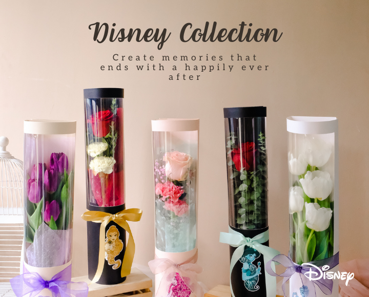 Disney Collections