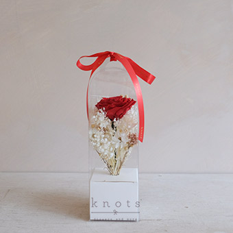 Cherry Love (Preserved Rose Boxed Bouquet)