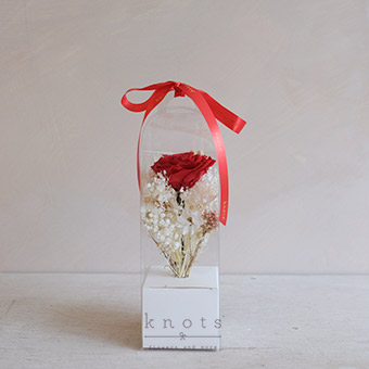 Cherry Love (Preserved Arrangement)