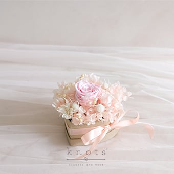 Calla (Preserved & Dried Flowers)