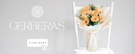 Gerberas