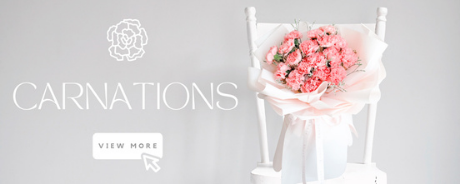 Carnations
