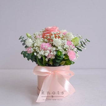 Innocent Delight (Pink Ecuadorian Rose Arrangement)
