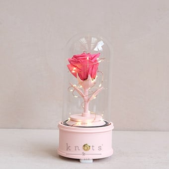 Rosy Rhymes (Preserved Rose Dome w/ Bluetooth Speaker)