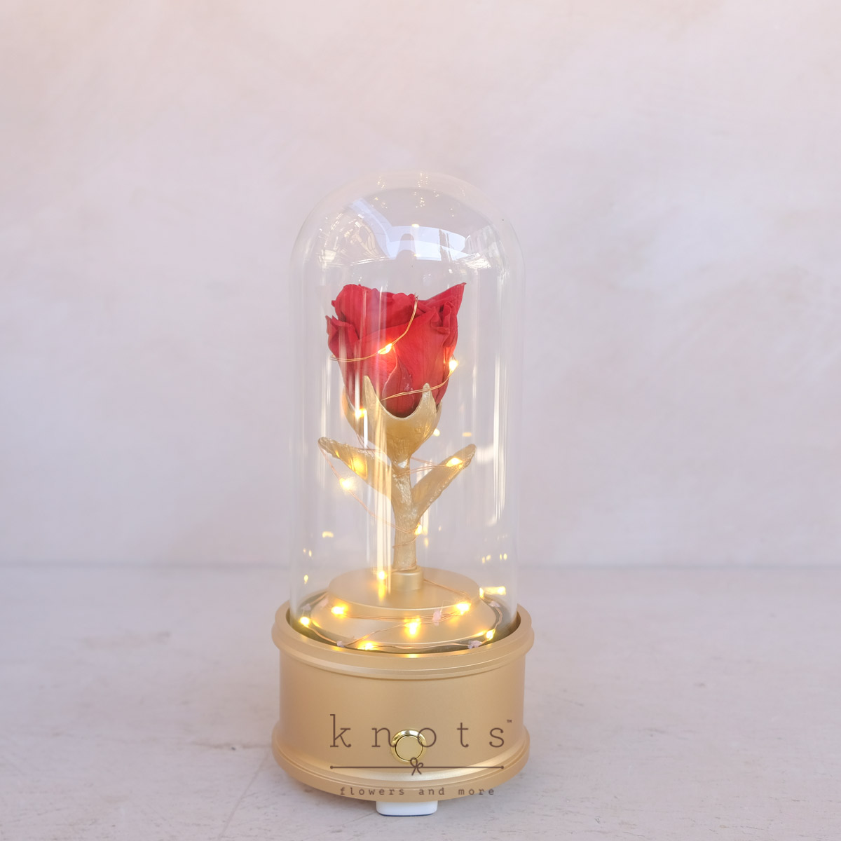 Light & Love (Preserved Rose Dome w/ Bluetooth Speaker)