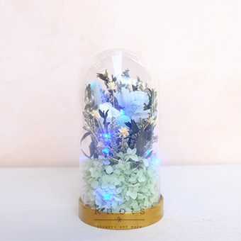 Beyond the Depths (Preserved & Dried Flower Dome Arrangement)