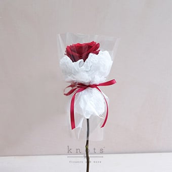 Ma Rose (Single Stem Red Ecuadorian Rose)