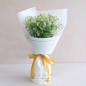 Bright Eyes (Chamomile Bouquet)