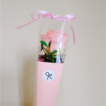 One Love (Pink Ecuadorian Rose)