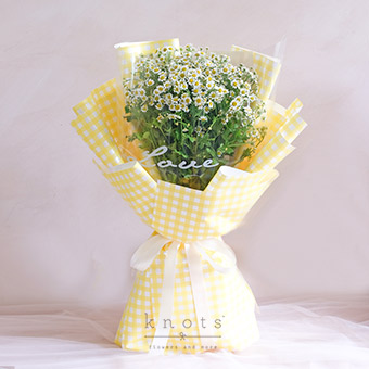 Love From The Star (Mini Daisies Bouquet)